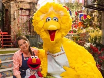 10 Crazy Facts About Big Bird - Listverse