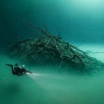 10 Fascinating Things Encountered By Divers