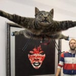 10 Unbelievable Things We Have Made Out Of Cats