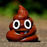 Top 10 Really Weird Facts About Poop