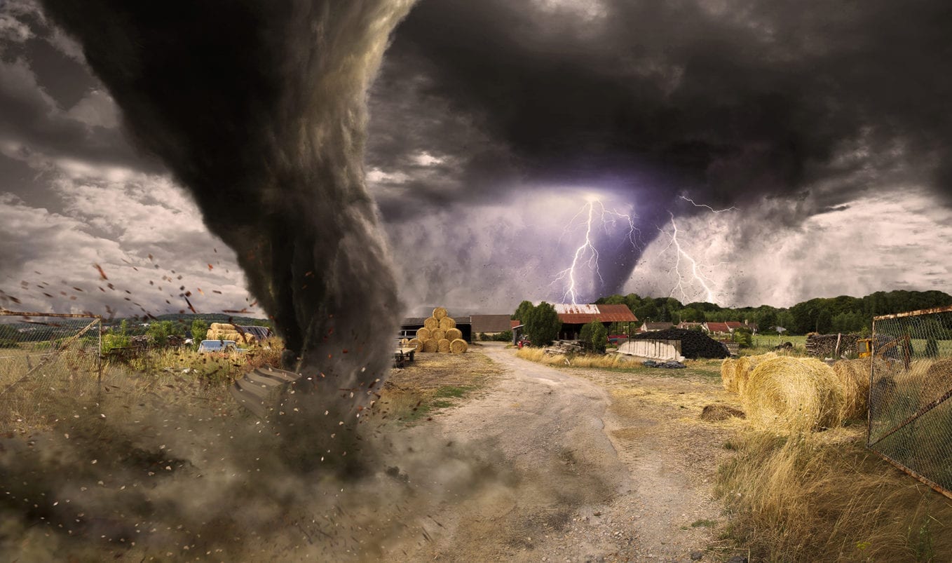 10 Horrifying Stories Of Surviving Nature's Fury - Listverse