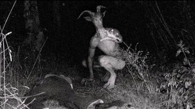 Top 10 Cryptids You've Never Heard Of - Listverse