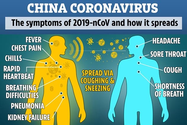 Top 10 Essential Facts About The Coronavirus  The Only Article You ll Ever Need About COVID 19 - 22