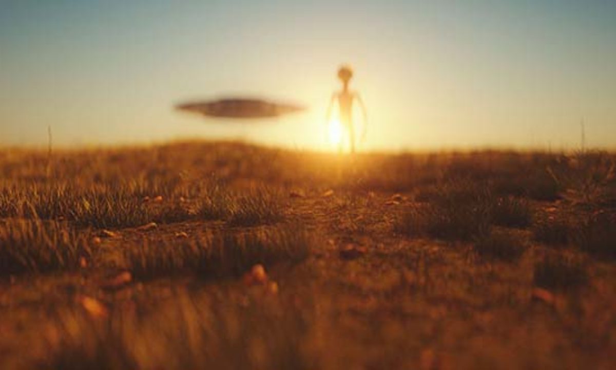 エリア51（Area 51）　立入禁止　危険　警告　注意　ブリキ看板