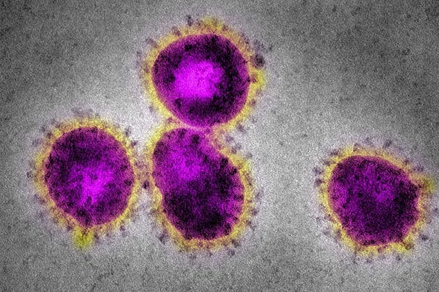 Top 10 Essential Facts About The Coronavirus  The Only Article You ll Ever Need About COVID 19 - 4