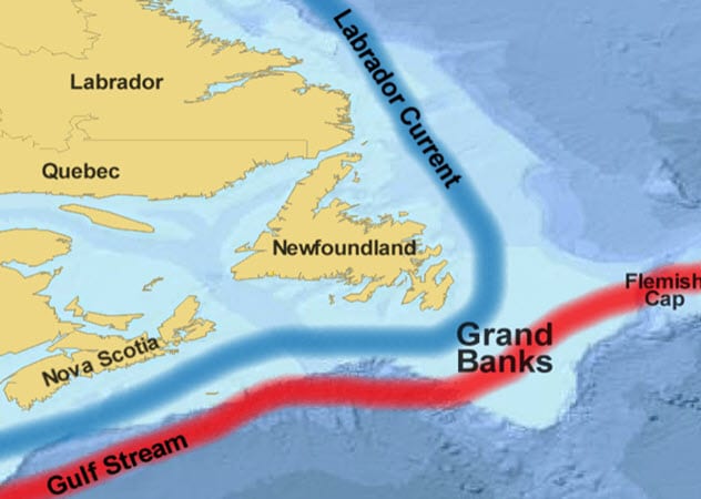Теплые течения лабрадорское. Лабрадорское течение на карте. Ньюфаундлендская банка. Гольфстрим и Лабрадорское течение.