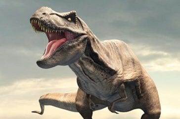 Top 10 Bizarre Facts That Will Change How You See Dinosaurs - Listverse