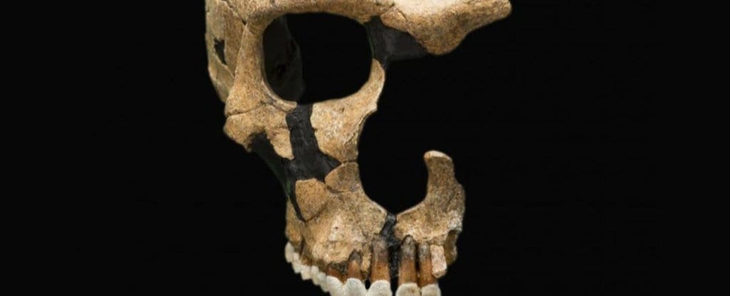 10 Fascinating Things About Ancient Humans You Never Knew - Listverse 1