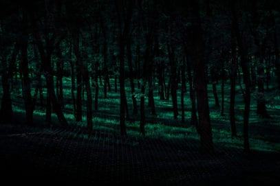 Top 10 Truly Disturbing Facts About Japan's Suicide Forest - Listverse