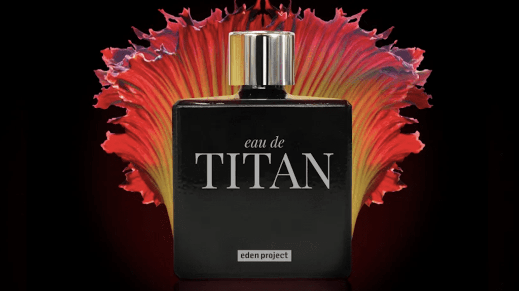 Top 10 Truly Insane Perfumes - 46