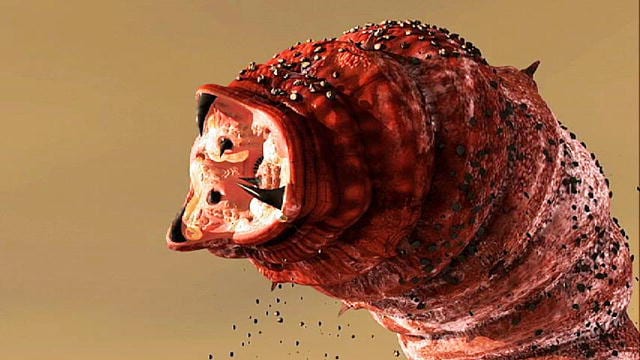 Top 10 Cryptids Easily Explained By Real Animals - 35