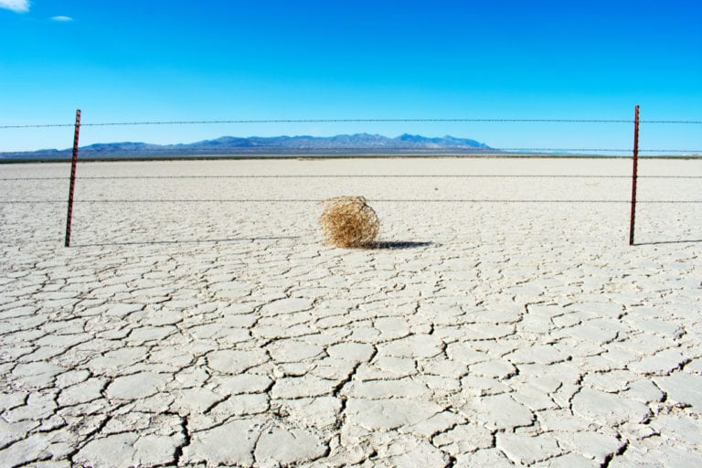 Top 10 Weird Things That Happened In 2020 - Listverse