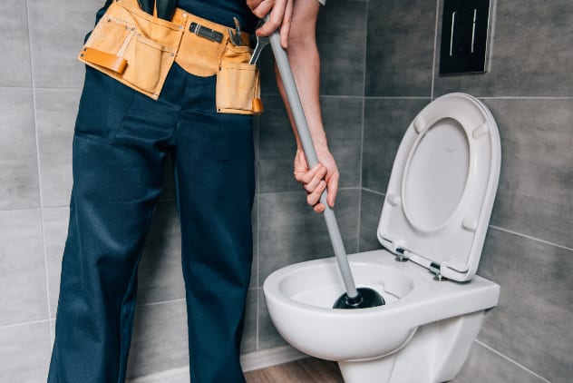 Top 10 Weirdest Objects Flushed Down A Toilet - Listverse 4