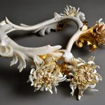 Top 10 Bizarre Bone Collections