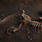 Top 10 Surprising Dinosaur Facts