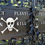 10 Examples Of Chemical Warfare In An Ordinary Garden