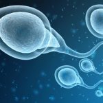 Ten Bizarre Facts About Sperm And Semen