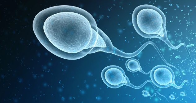 Ten Bizarre Facts About Sperm And Semen
