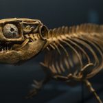 10 Weird Critters That Lived Alongside the Dinosaurs