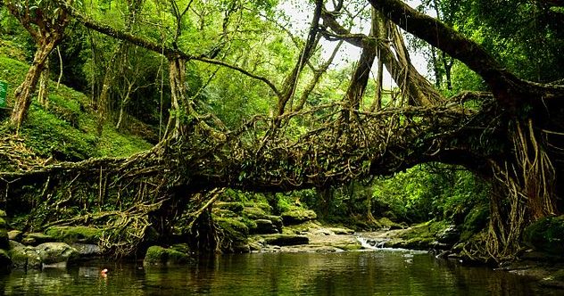 10 Unusual Bridges from Around the World You Need to Visit - Listverse