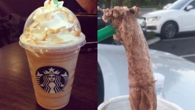 10 Disturbing and Disgusting Items Found in Starbucks Orders - 7