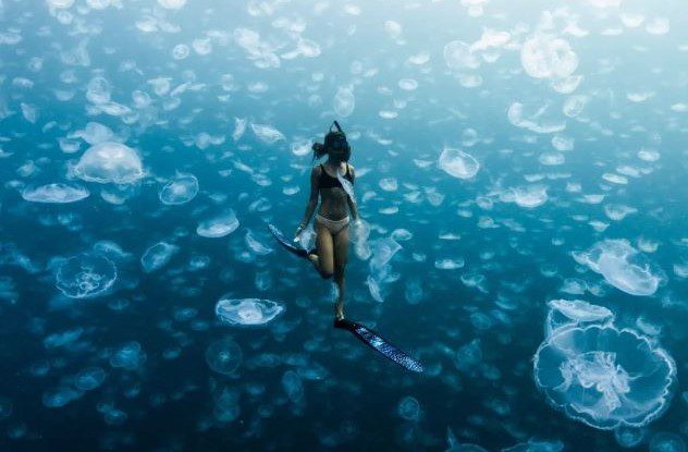 10 Images That Highlight the Splendor of the Ocean - 96