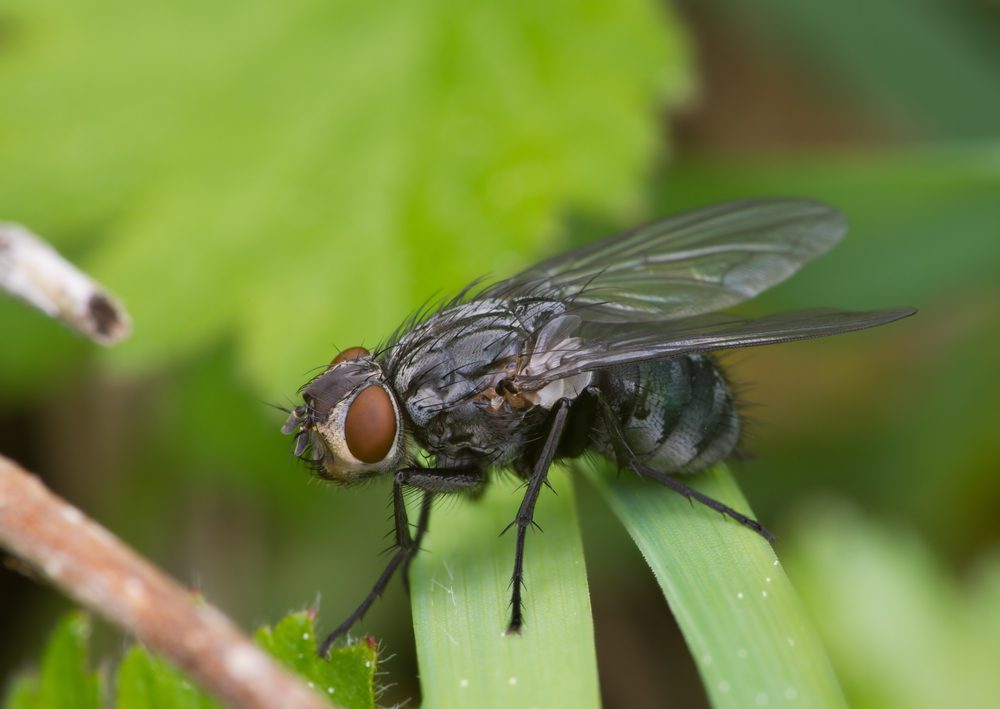 A suitcase in an outdoor setting, implying a forensic experiment