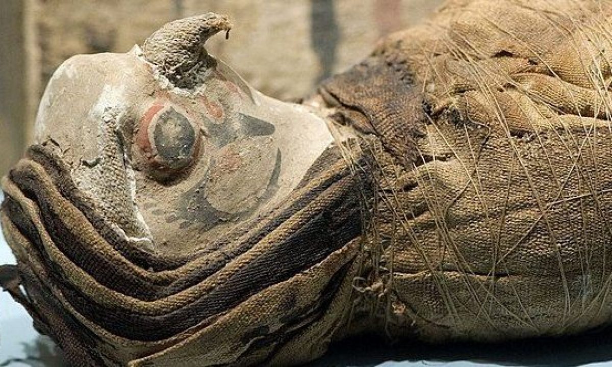 The Most Incredible Animal Mummies from Egypt - Listverse