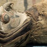 The Most Incredible Animal Mummies from Egypt