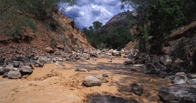 10 Terrifying and Unfortunate National Park Deaths - Listverse 4