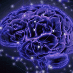 10 Fascinating Facts About the Human Brain