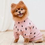 10 Most Elaborate Pranks of the 1900s 10 Most Elaborate Pranks of the 1900s