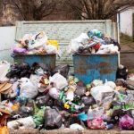 Ten Squeaky-Clean Tidbits about Trash