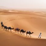 Ten Positively Insane Facts about the Sahara Desert
