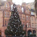 10 Ways Your Christmas Tree Is More Lit Than You Think