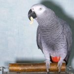 10 Unbelievable Pieces of Evidence Used in Court Cases