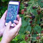 10 Greatest Corporate Faceplants of All Time 10 Greatest Corporate Faceplants of All Time