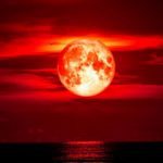 10 Events That May Well Be Signs of the Times