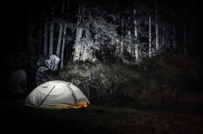 Shutterstock -672071665
