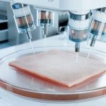 10 Weird Solutions to Global Problems