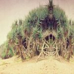 10 Deserted Islands With Bizarre and Forgotten Histories