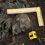 10 Human Remains with Stories Straight from a Dark Novel